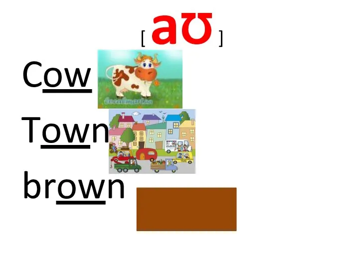 [ aƱ ] Cow Town brown