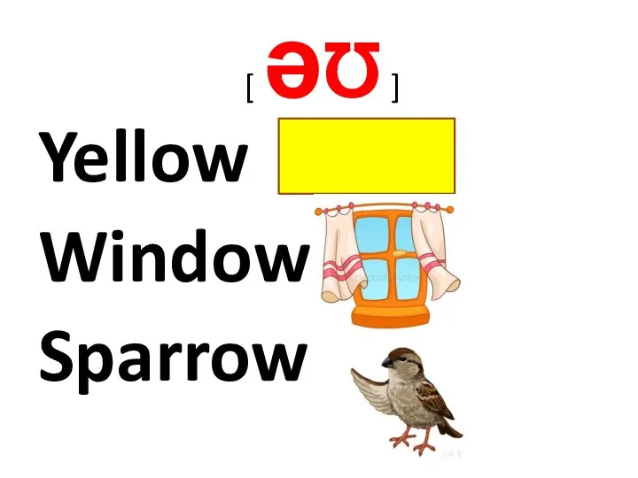 [ ǝƱ ] Yellow Window Sparrow