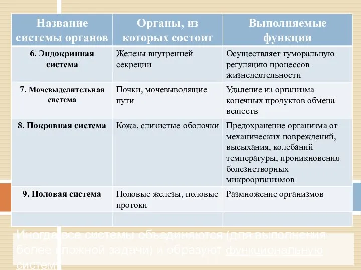 Иногда все системы объединяются (для выполнения более сложной задачи) и образуют функциональную систему