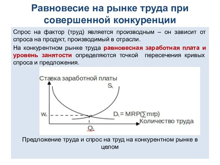 Равновесие на рынке труда при совершенной конкуренции Спрос на фактор (труд) является