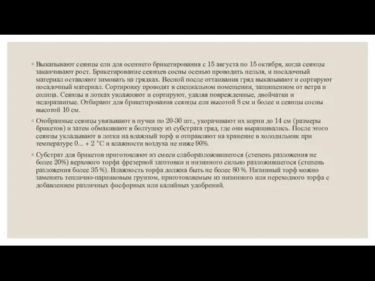 Выкапывают сеянцы ели для осеннего брикетирования с 15 августа по 15 октября,