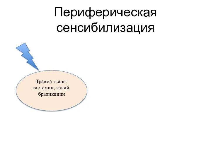 Периферическая сенсибилизация Травма ткани: гистамин, калий, брадикинин