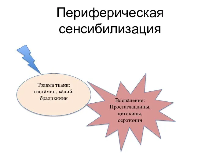 Периферическая сенсибилизация Травма ткани: гистамин, калий, брадикинин Воспаление: Простагландины, цитокины, серотонин