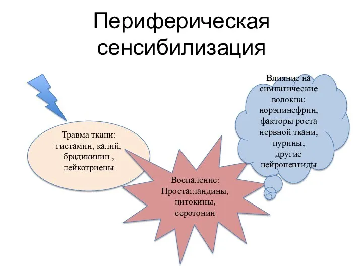 Периферическая сенсибилизация Травма ткани: гистамин, калий, брадикинин , лейкотриены Воспаление: Простагландины, цитокины,