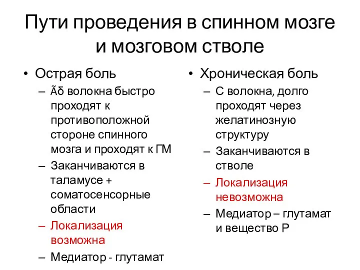 Пути проведения в спинном мозге и мозговом стволе Острая боль Ãδ волокна