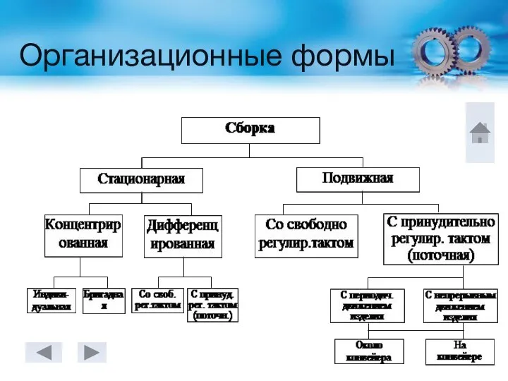 Организационные формы