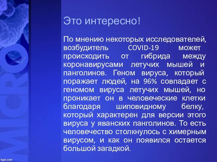 По мнению некоторых исследователей, возбудитель COVID-19 может происходить от гибрида между коронавирусами