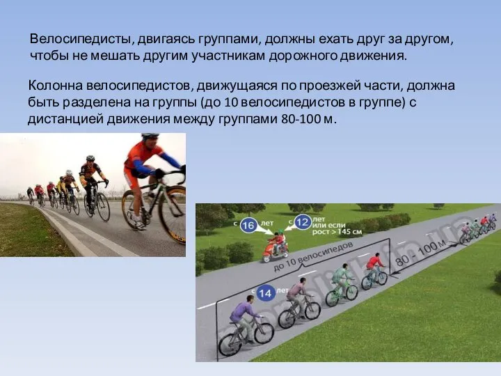 Велосипедисты, двигаясь группами, должны ехать друг за другом, чтобы не мешать другим