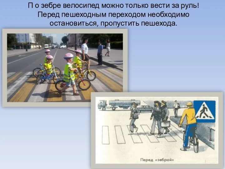 П о зебре велосипед можно только вести за руль! Перед пешеходным переходом необходимо остановиться, пропустить пешехода.