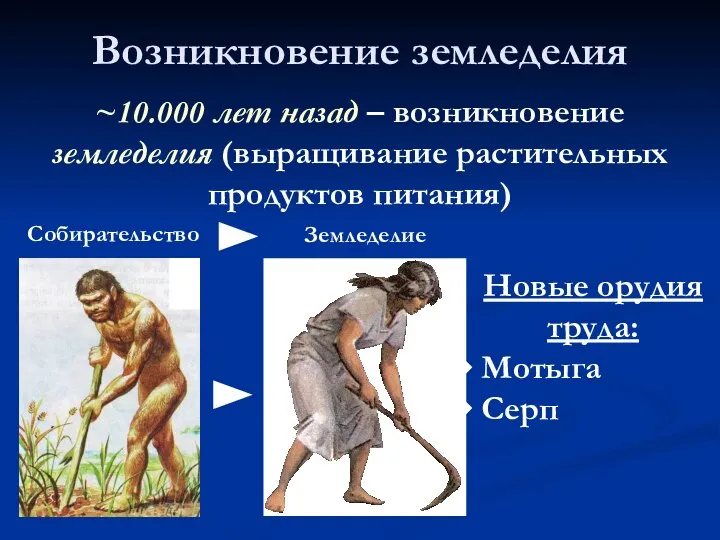 Возникновение земледелия ~10.000 лет назад – возникновение земледелия (выращивание растительных продуктов питания)
