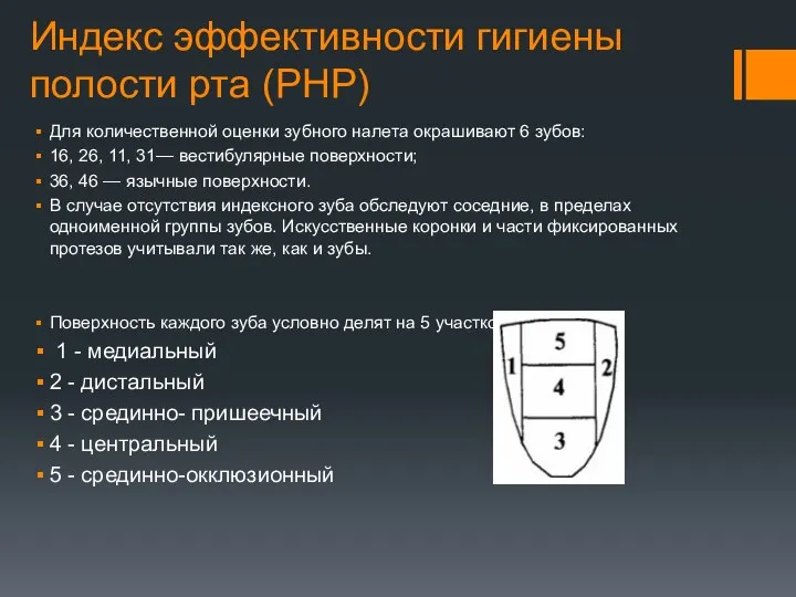 Индекс эффективности гигиены полости рта (PHP) Для количественной оценки зубного налета окрашивают