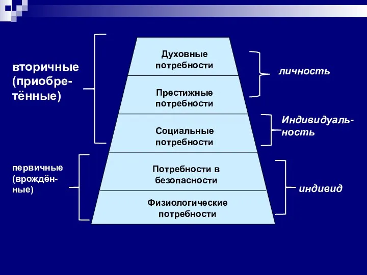 первичные (врождён-ные) вторичные (приобре-тённые) индивид Индивидуаль-ность личность