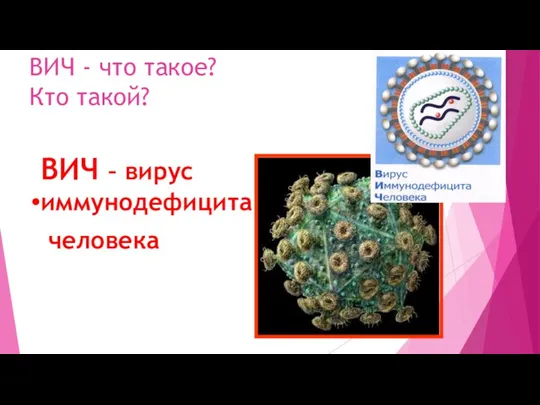 ВИЧ - что такое? Кто такой? ВИЧ – вирус иммунодефицита человека