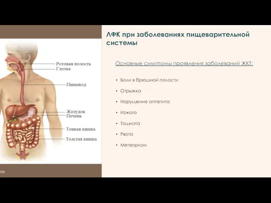 2019 ЛФК при заболеваниях пищеварительной системы Основные симптомы проявления заболеваний ЖКТ: Боли