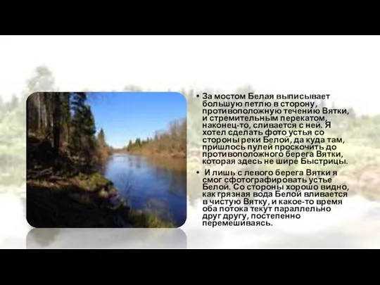 За мостом Белая выписывает большую петлю в сторону, противоположную течению Вятки, и