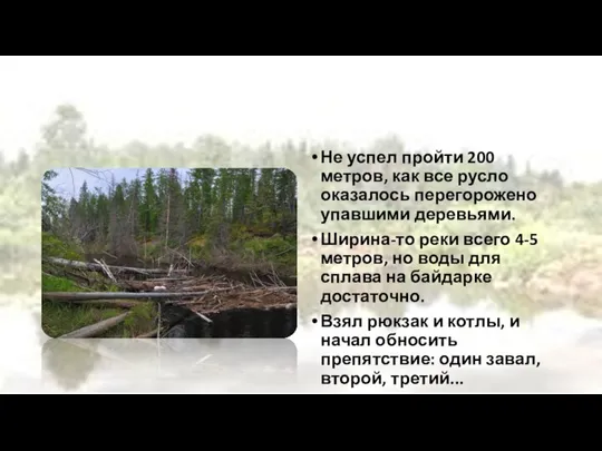 Не успел пройти 200 метров, как все русло оказалось перегорожено упавшими деревьями.