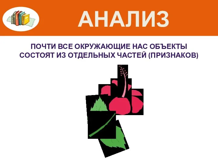 АНАЛИЗ ПОЧТИ ВСЕ ОКРУЖАЮЩИЕ НАС ОБЪЕКТЫ СОСТОЯТ ИЗ ОТДЕЛЬНЫХ ЧАСТЕЙ (ПРИЗНАКОВ)