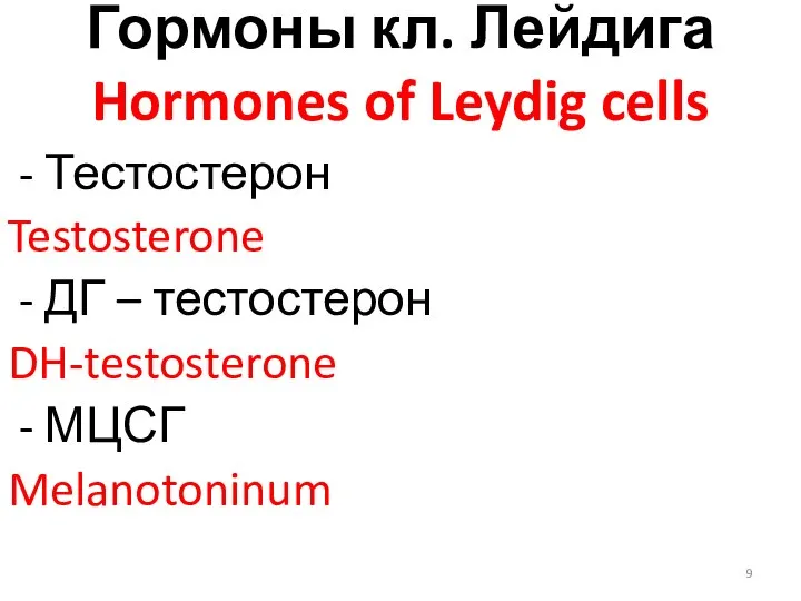 Гормоны кл. Лейдига Hormones of Leydig cells - Тестостерон Testosterone - ДГ