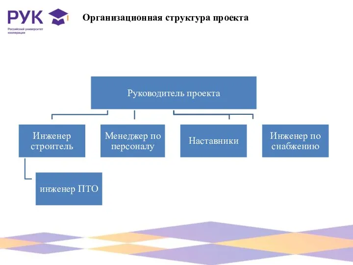 Организационная структура проекта