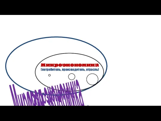 Макроэкономика (национальный уровень) Микроэкономика (потребитель, производитель, отрасль) Мировая экономика