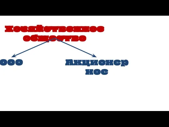 Хозяйственное общество ООО Акционерное