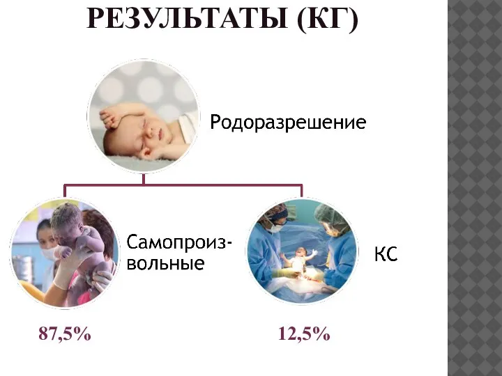 РЕЗУЛЬТАТЫ (КГ) 87,5% 12,5%