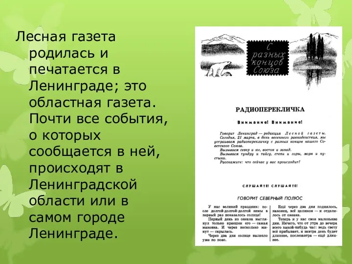 Лесная газета родилась и печатается в Ленинграде; это областная газета. Почти все