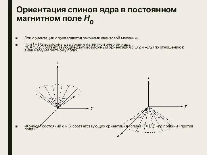 Ориентация спинов ядра в постоянном магнитном поле Н0 Эти ориентации определяются законами