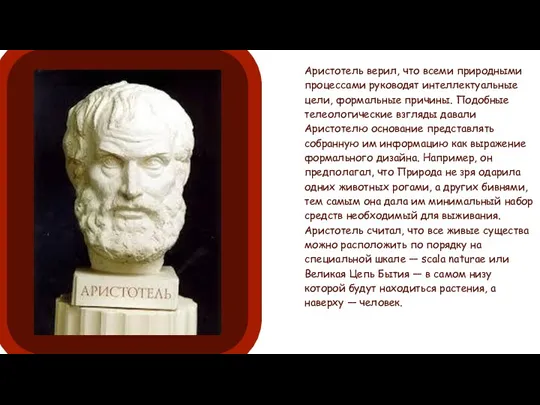 Аристотель верил, что всеми природными процессами руководят интеллектуальные цели, формальные причины. Подобные