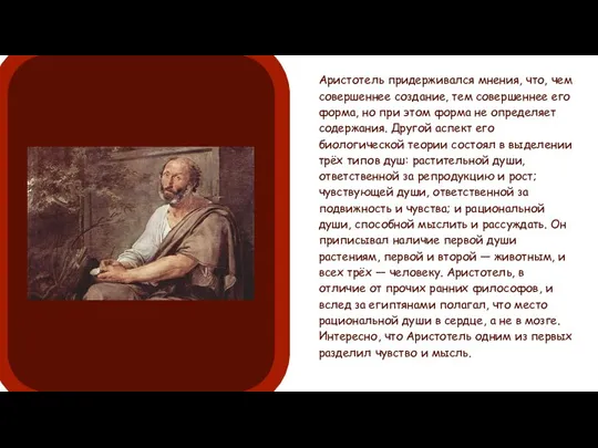 Аристотель придерживался мнения, что, чем совершеннее создание, тем совершеннее его форма, но