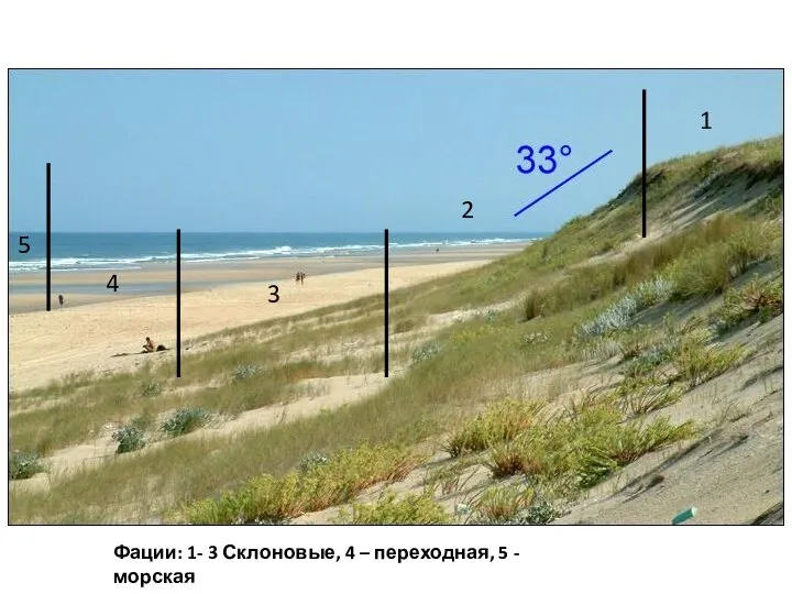 Фации: 1- 3 Склоновые, 4 – переходная, 5 - морская 1 2 3 4 5