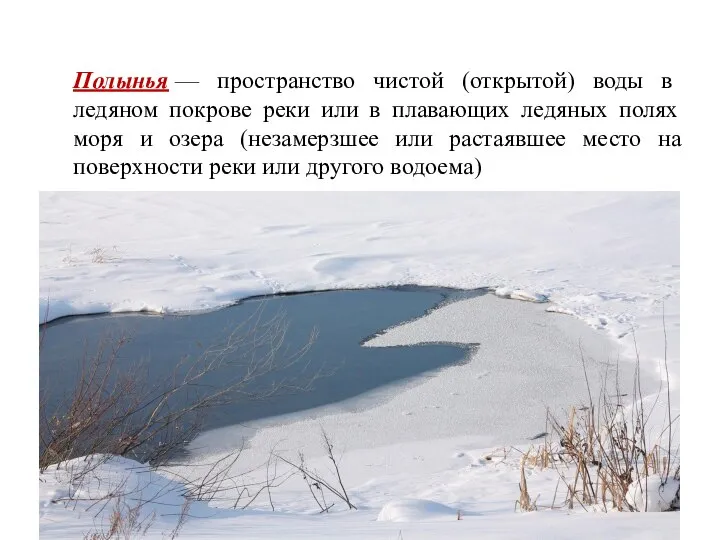 Полынья — пространство чистой (открытой) воды в ледяном покрове реки или в