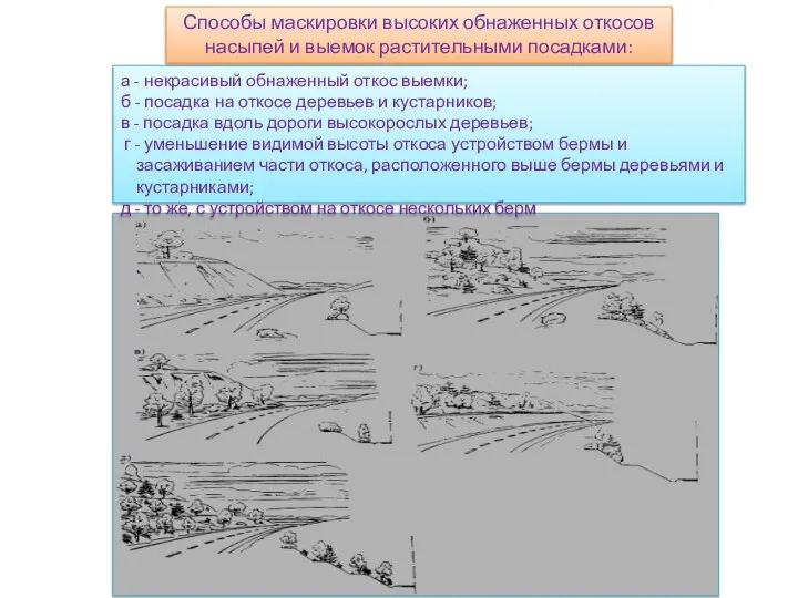 а - некрасивый обнаженный откос выемки; б - посадка на откосе деревьев