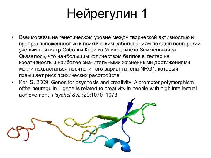 Нейрегулин 1 Взаимосвязь на генетическом уровне между творческой активностью и предрасположенностью к