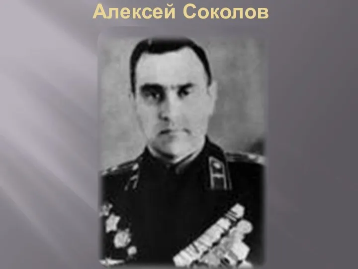 Алексей Соколов