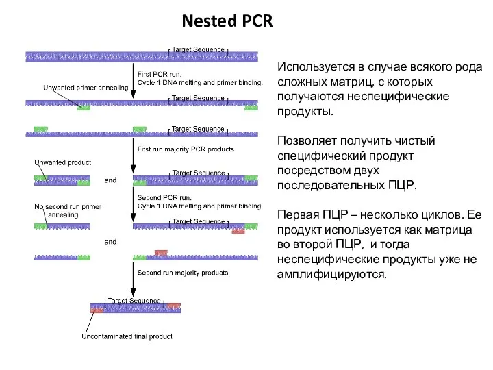 Nested PCR Используется в случае всякого рода сложных матриц, с которых получаются