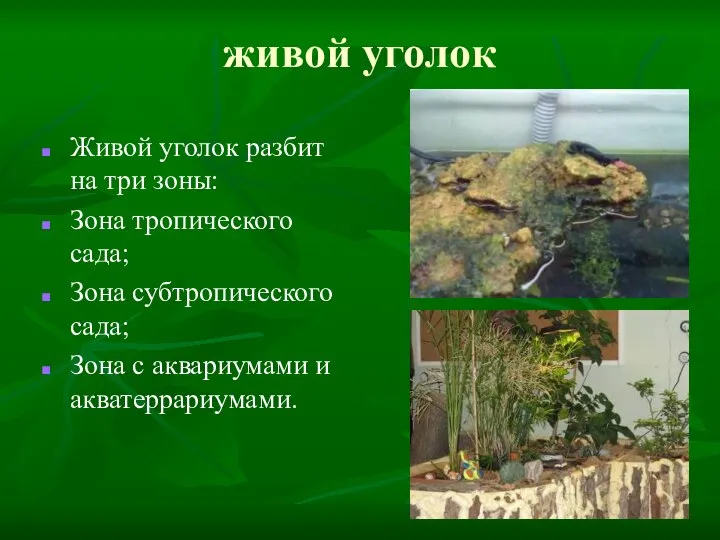 живой уголок Живой уголок разбит на три зоны: Зона тропического сада; Зона