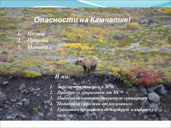 Погода Природа Медведи И мы: Зарегистрировались в МЧС Приобрели страховки от НС
