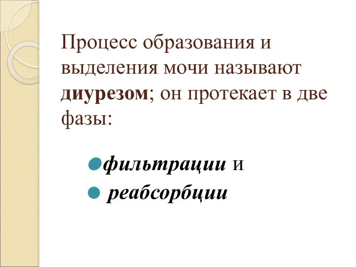 Процесс образования и выделения мочи называют диурезом; он протекает в две фазы: фильтрации и реабсорбции