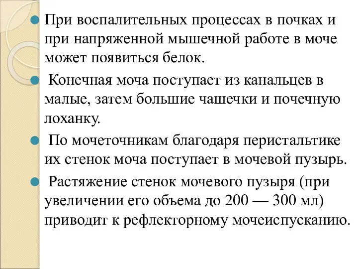 При воспалительных процессах в почках и при напряженной мышечной работе в моче