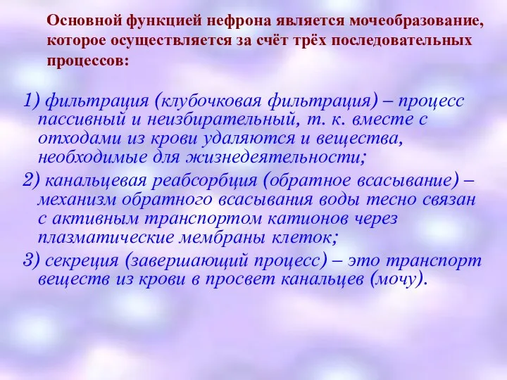 Основной функцией нефрона является мочеобразование, которое осуществляется за счёт трёх последовательных процессов: