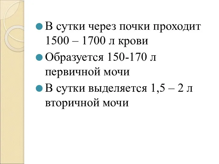 В сутки через почки проходит 1500 – 1700 л крови Образуется 150-170