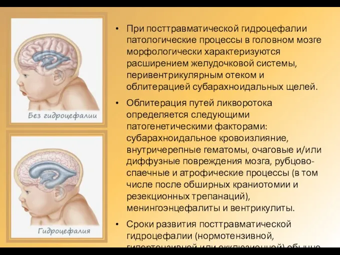 При посттравматической гидроцефалии патологические процессы в головном мозге морфологически характеризуются расширением желудочковой