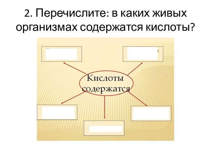 2. Перечислите: в каких живых организмах содержатся кислоты?