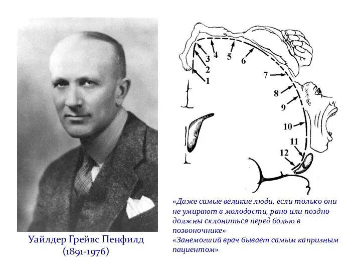 Уайлдер Грейвс Пенфилд (1891-1976) «Даже самые великие люди, если только они не