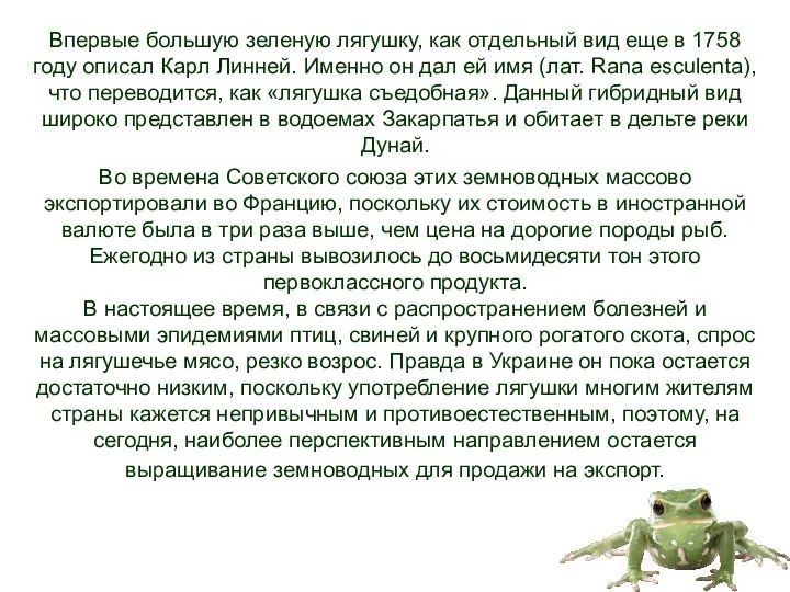 Впервые большую зеленую лягушку, как отдельный вид еще в 1758 году описал