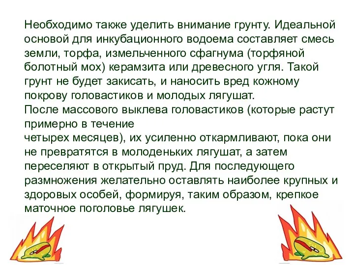 Необходимо также уделить внимание грунту. Идеальной основой для инкубационного водоема составляет смесь