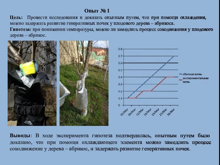 Опыт № 1 Цель: Провести исследования и доказать опытным путем, что при