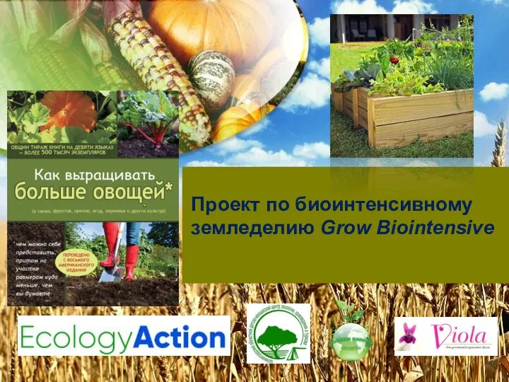 Проект по биоинтенсивному земледелию Grow Biointensive
