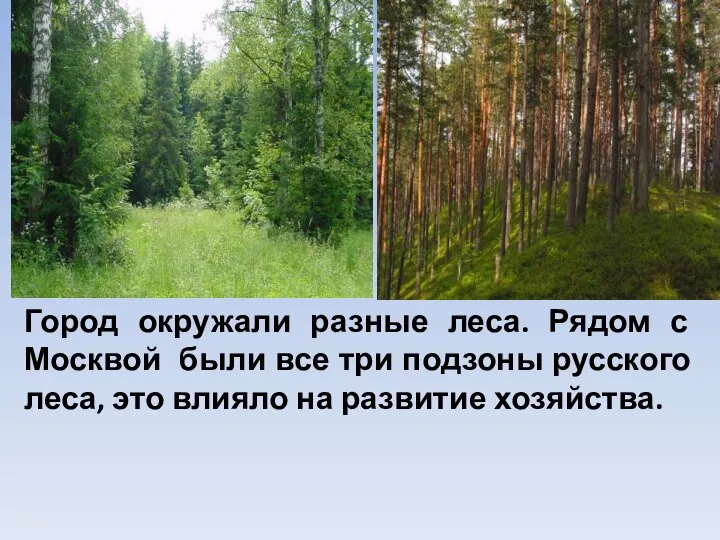 Город окружали разные леса. Рядом с Москвой были все три подзоны русского